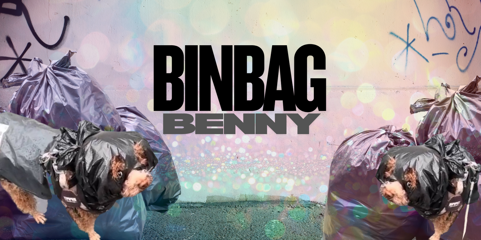 Binbag Benny Social Media Banner